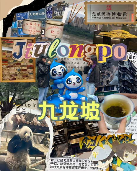 西班牙留學(xué)生VILLA MORENO ANDREA-LIWAN和MEZA RODRIGUEZ JENNIFER JOSEFINA作品，來自重慶師范大學(xué)
