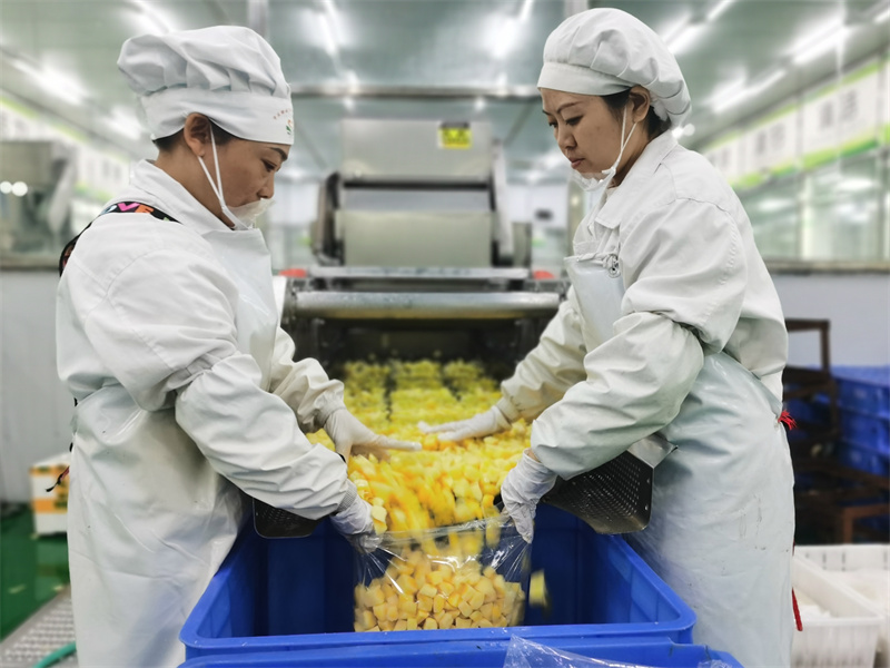 綠盛源車(chē)間里工人正在打包食材。巫溪縣工商聯(lián)供圖