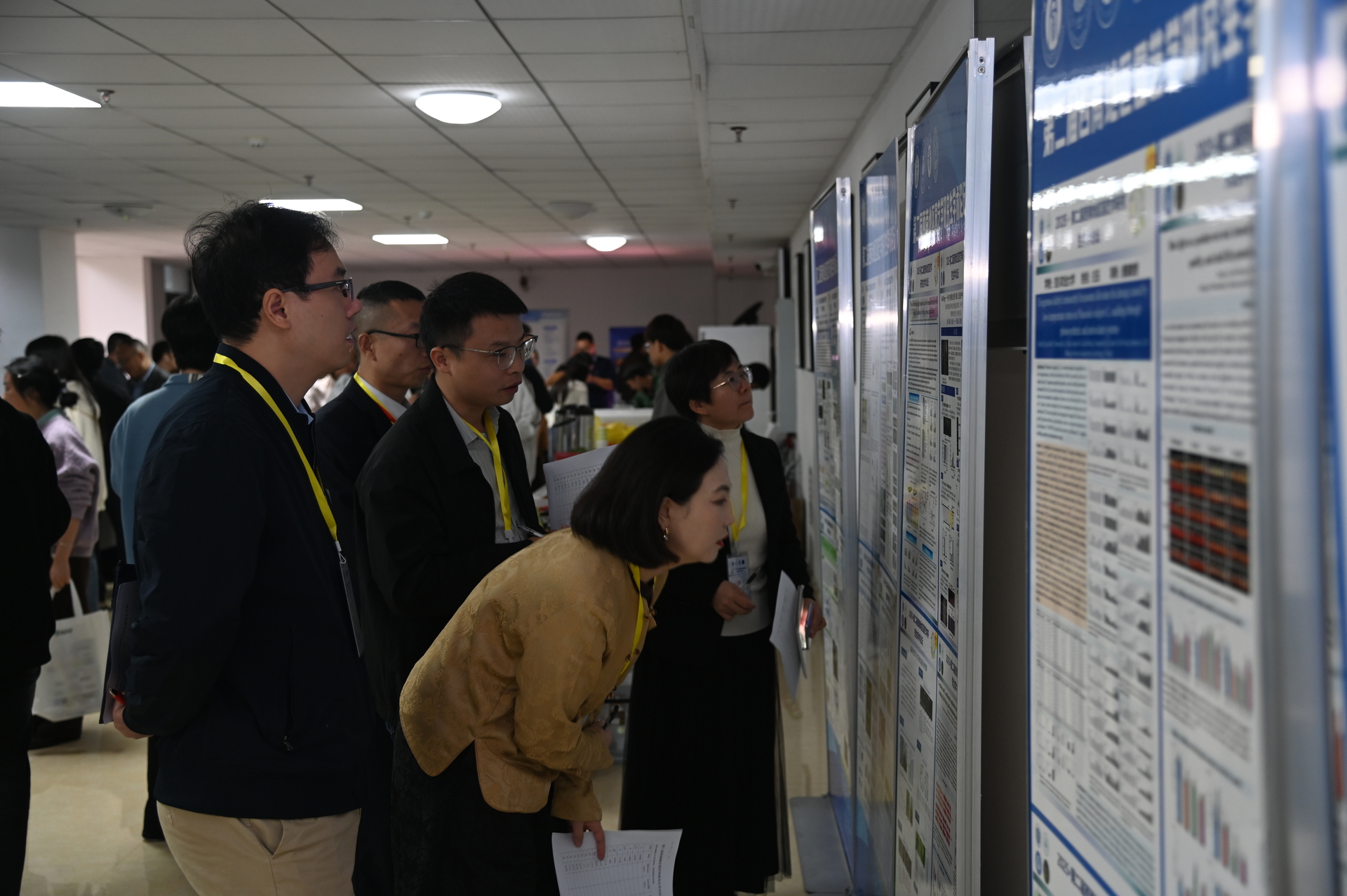 专家评比现场。受访单位供图