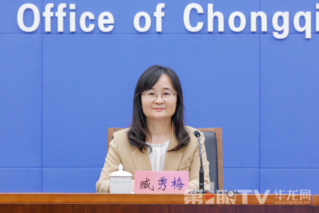市婦聯(lián)黨組成員、副主席臧秀梅回答記者提問。第1眼TV-華龍網(wǎng)記者 石濤 攝