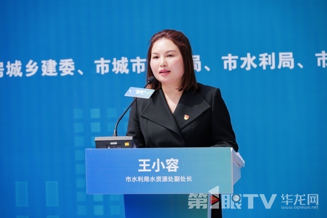 重庆市水利局水资源处副处长王小容。第1眼TV-华龙网记者 刘柳 摄