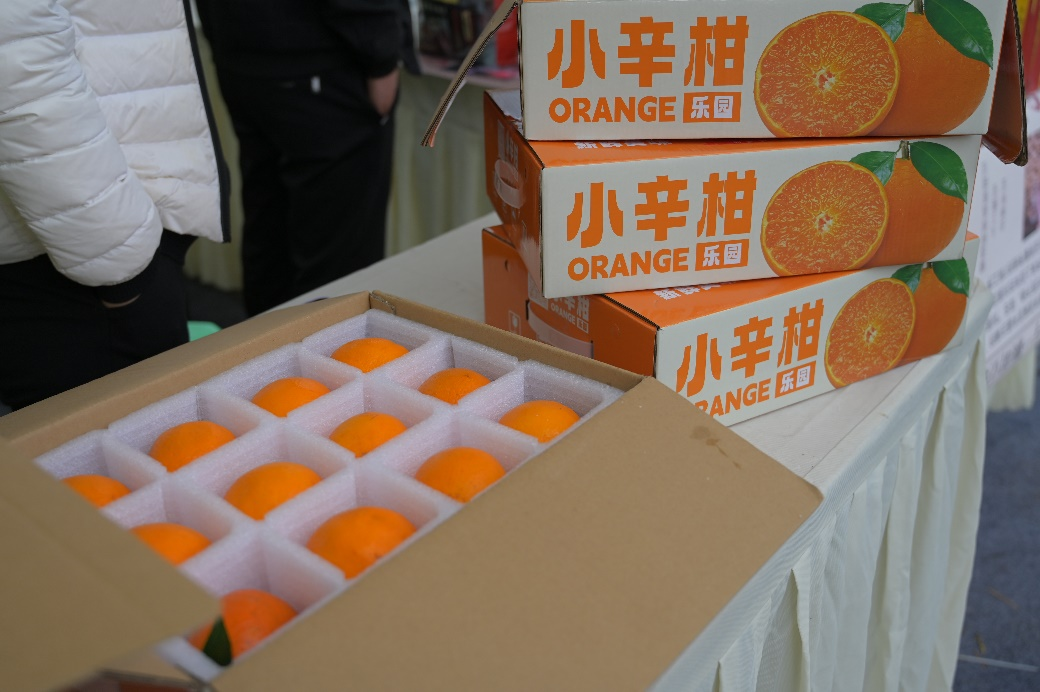图片5