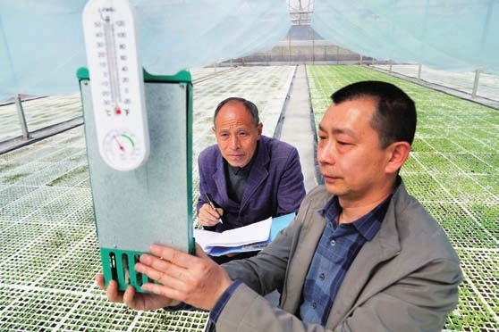 测试温度。陈庆发 供图