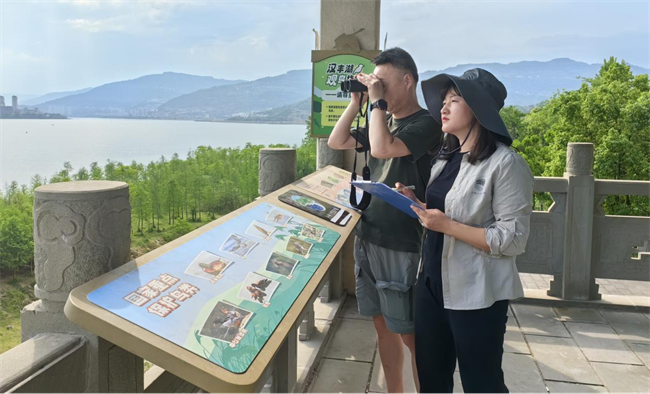 工作人員監(jiān)測濕地候鳥數(shù)量。重慶市濕地保護管理中心供圖 第1眼TV-華龍網(wǎng) 發(fā)