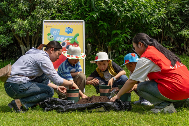 在巴蜀古代建筑博物館，家長(zhǎng)和志愿者手把手指導(dǎo)小朋友們?nèi)绾畏N植辣椒。沙坪壩區(qū)融媒體中心供圖