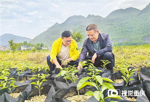 未命名圖片