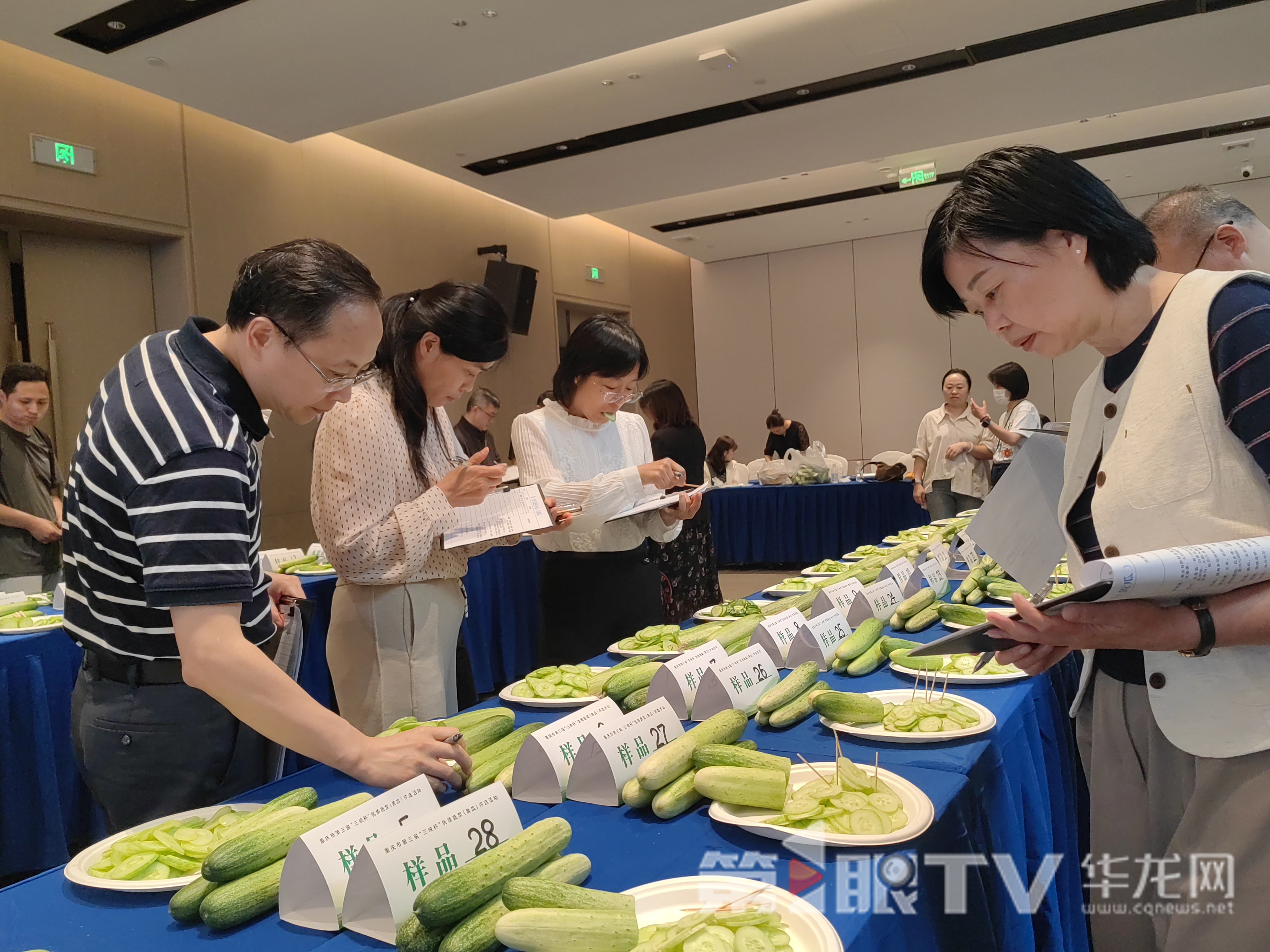重庆市第三届“三峡杯”优质蔬菜(黄瓜)评选活动现场。第1眼TV-华龙网首席记者冯珊 摄