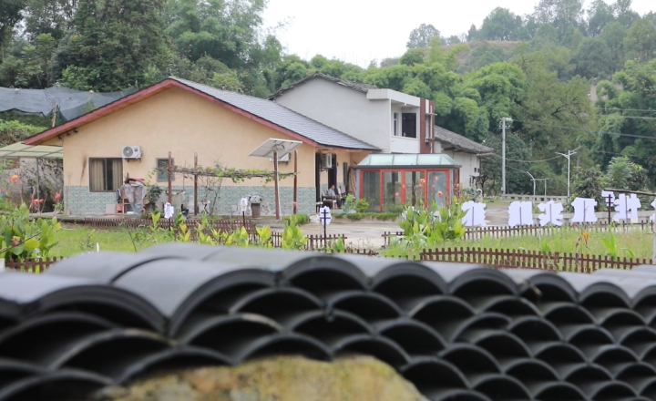 姜家鎮(zhèn)蔡家寺村“十黑大院”一角。資料圖