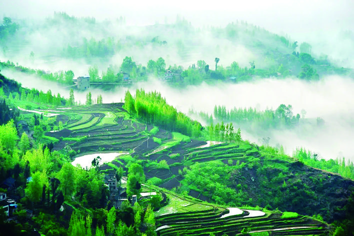 鳳凰花果山。萬(wàn)州區(qū)文化旅游委供圖