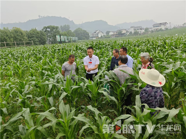 涪陵區人大代表夏宇向農戶介紹科學施肥。記者 閆儀 攝