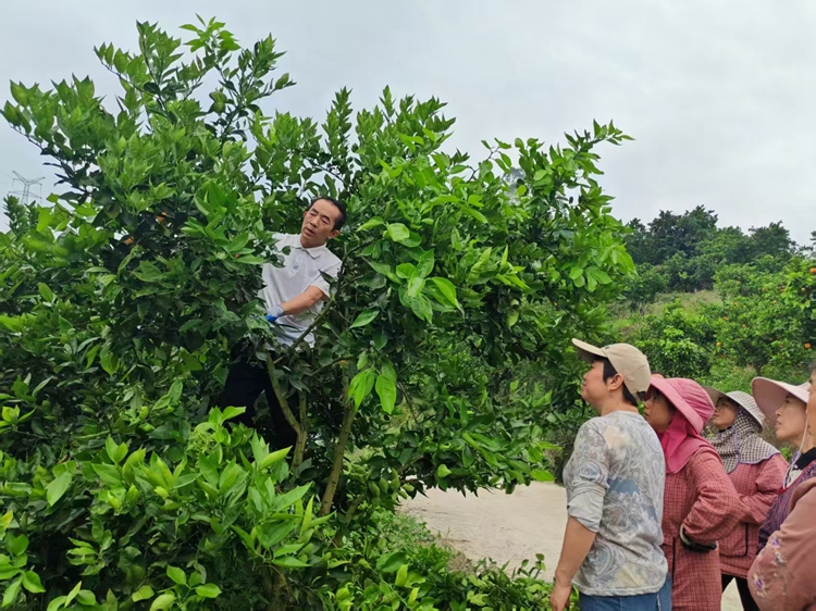 人才幫扶。受訪者供圖