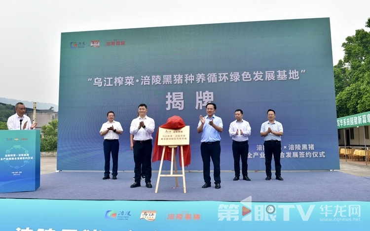 揭牌仪式。第1眼TV-华龙网记者 李黎 摄