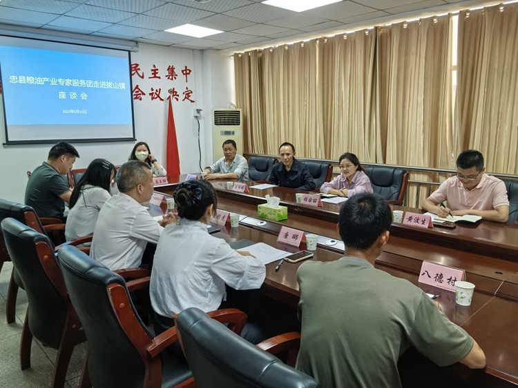 座談會現(xiàn)場。受訪者供圖