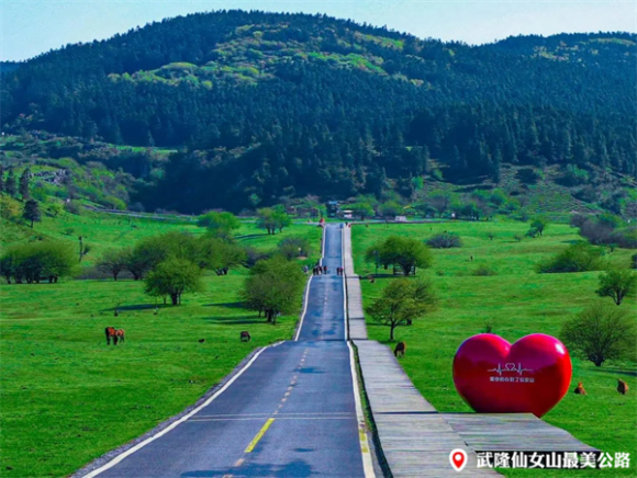 武隆仙女山最美公路,。重慶武隆旅游產(chǎn)業(yè)(集團(tuán))有限公司供圖