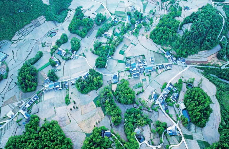 大同鎮(zhèn)高標(biāo)準(zhǔn)農(nóng)田建設(shè)后,田成方、路相通、渠相連的美麗景象。