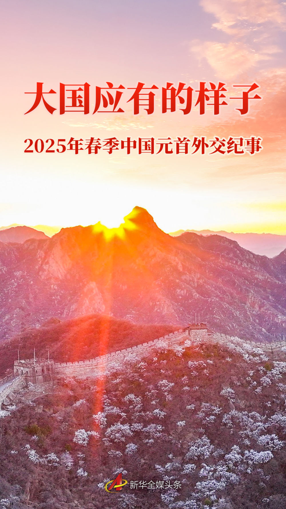 未命名图片