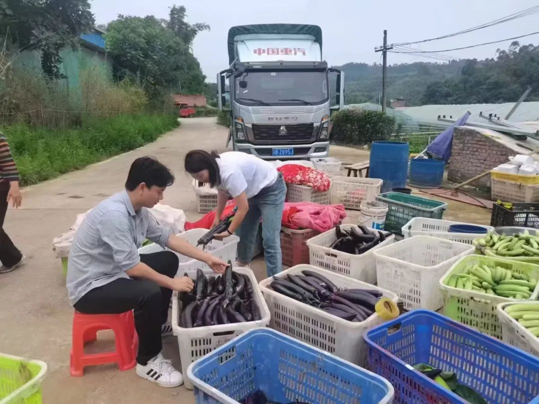 未命名图片