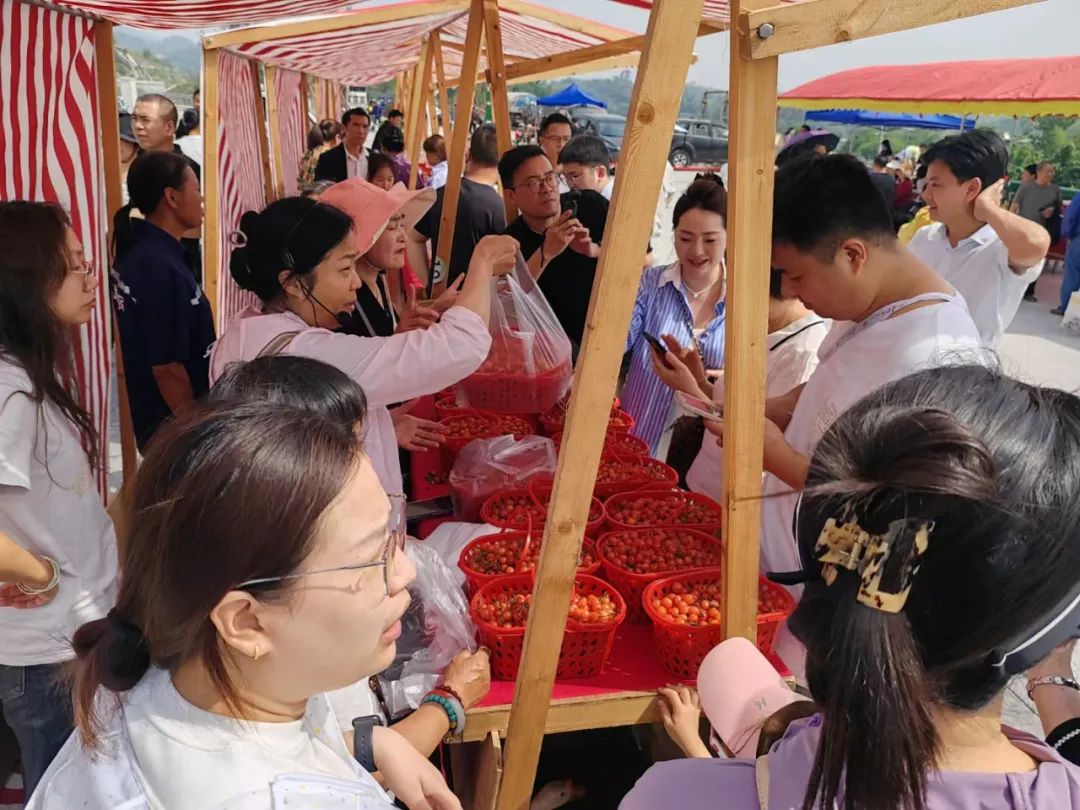 未命名图片
