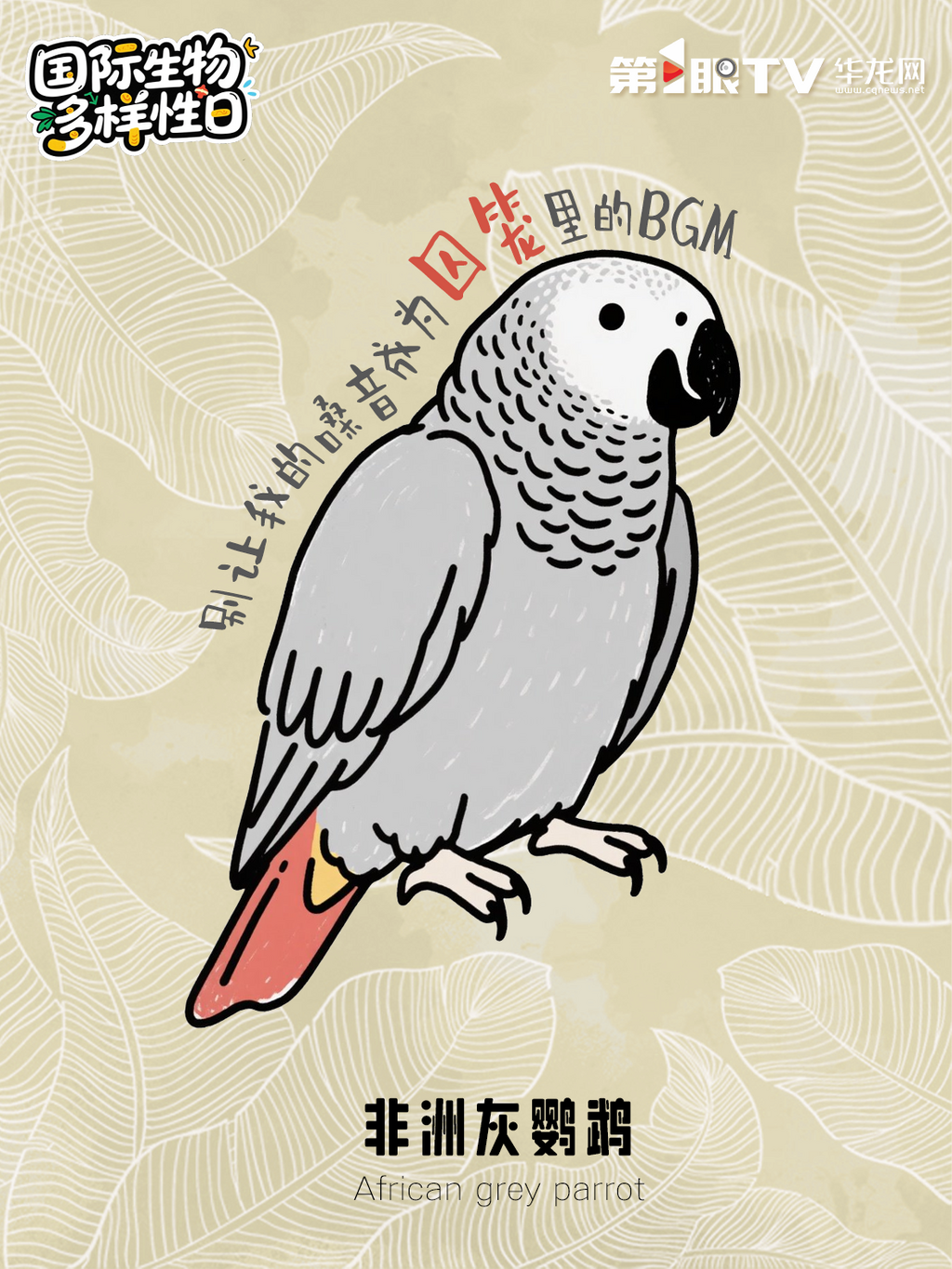 微信图片_20250522093828