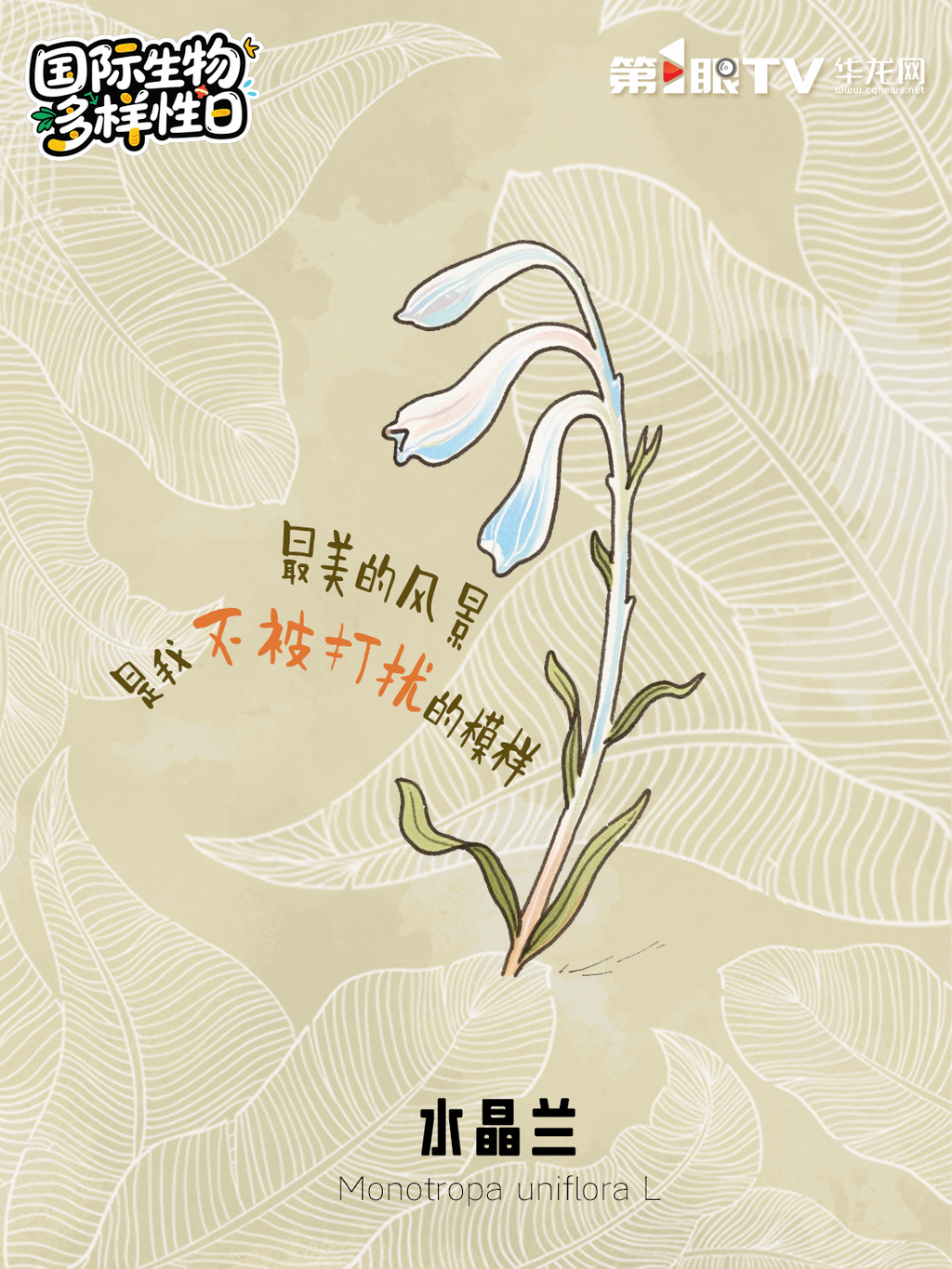 微信图片_20250522093819