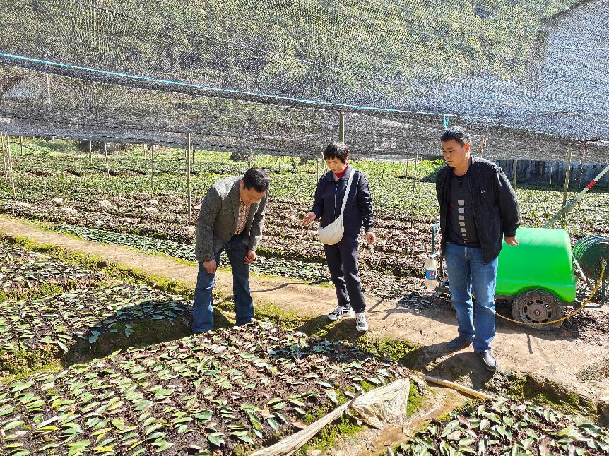 重庆工贸职院：高职院校赋能乡村振兴“加速跑”(图1)