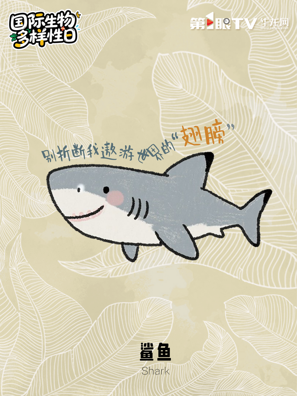 微信图片_20250522093823