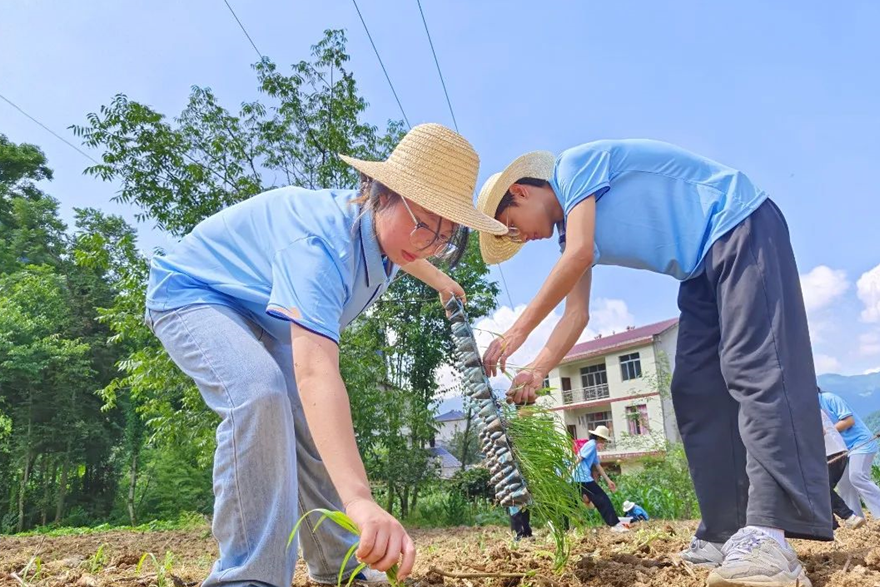 重庆工贸职院：高职院校赋能乡村振兴“加速跑”(图3)