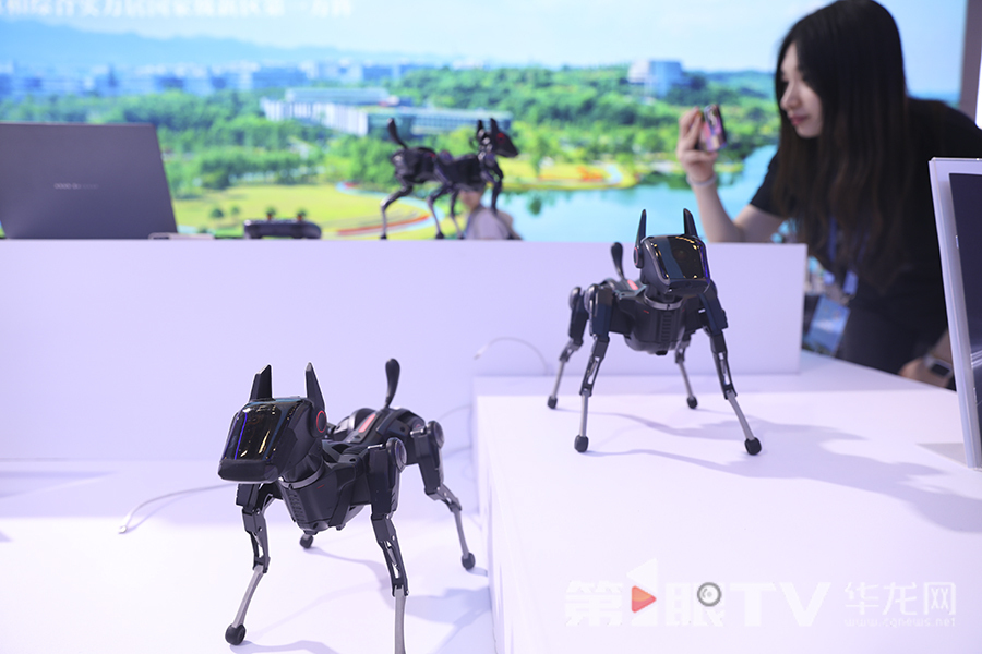 哮天Sirius智能机器狗引人关注。第1眼TV-华龙网首席记者 李文科 摄