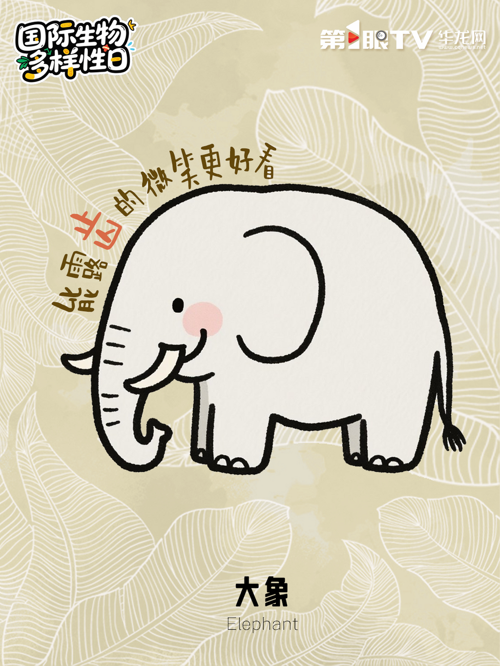 微信图片_20250522093834
