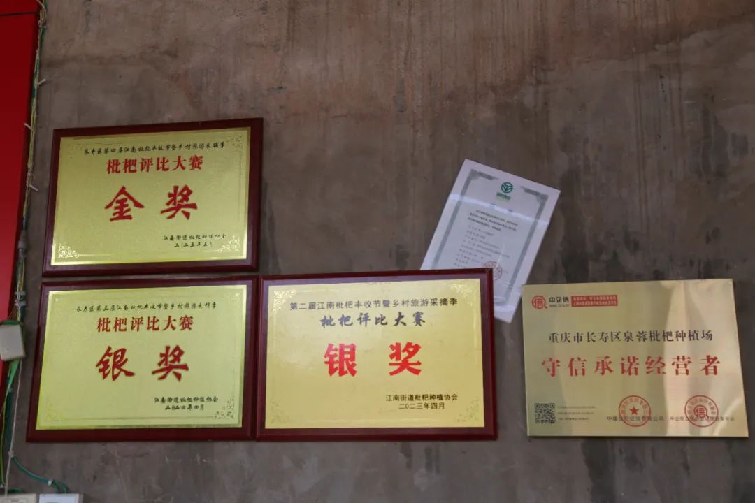 未命名圖片
