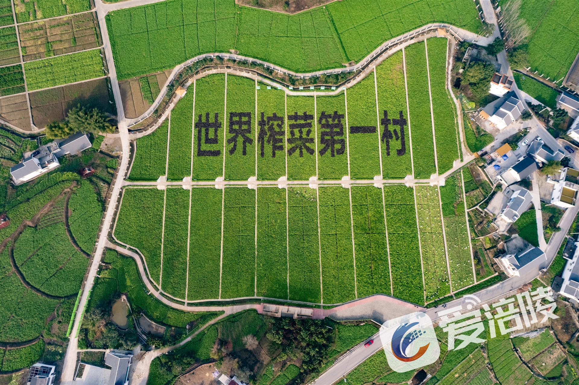 未命名圖片