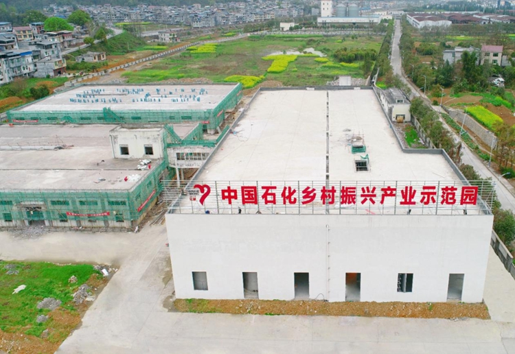 中國(guó)石化鄉(xiāng)村振興示范園。華渝產(chǎn)業(yè)集團(tuán)供圖