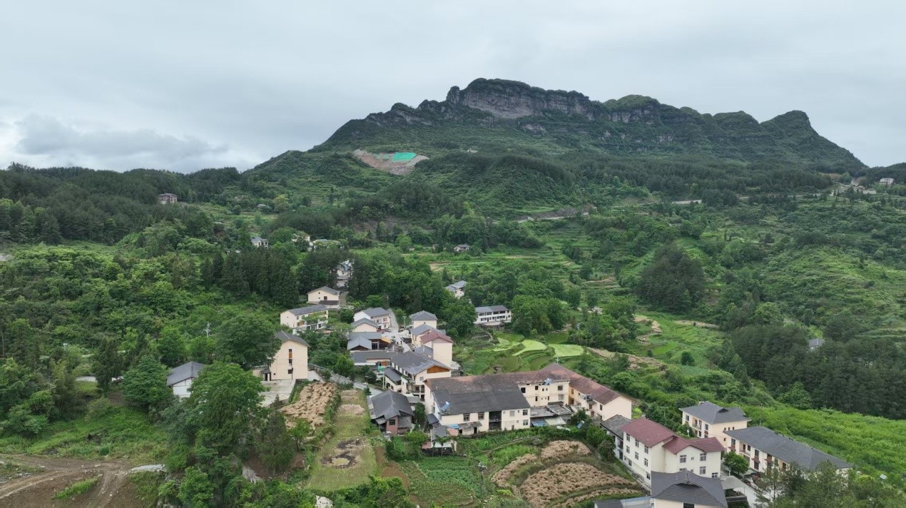 山王坪村“巴蜀美麗庭院示范片”建設。通訊員 張艾華 攝