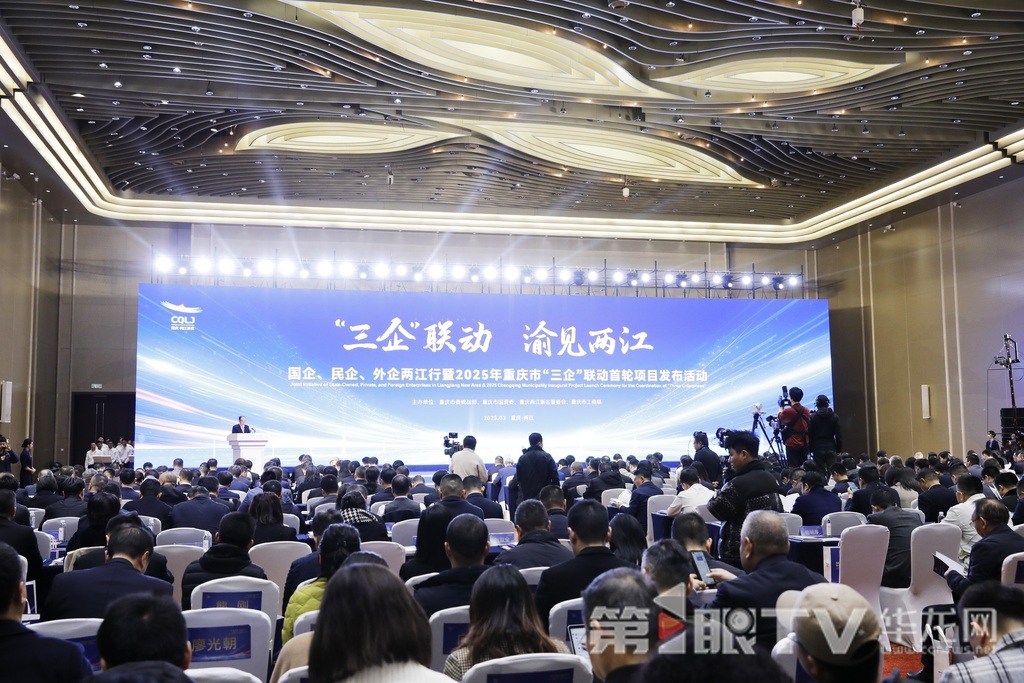 3月31日,国企、民企、外企两江行暨2025年重庆市“三企”联动首轮项目发布活动举行。第1眼TV-华龙网记者 石涛 摄