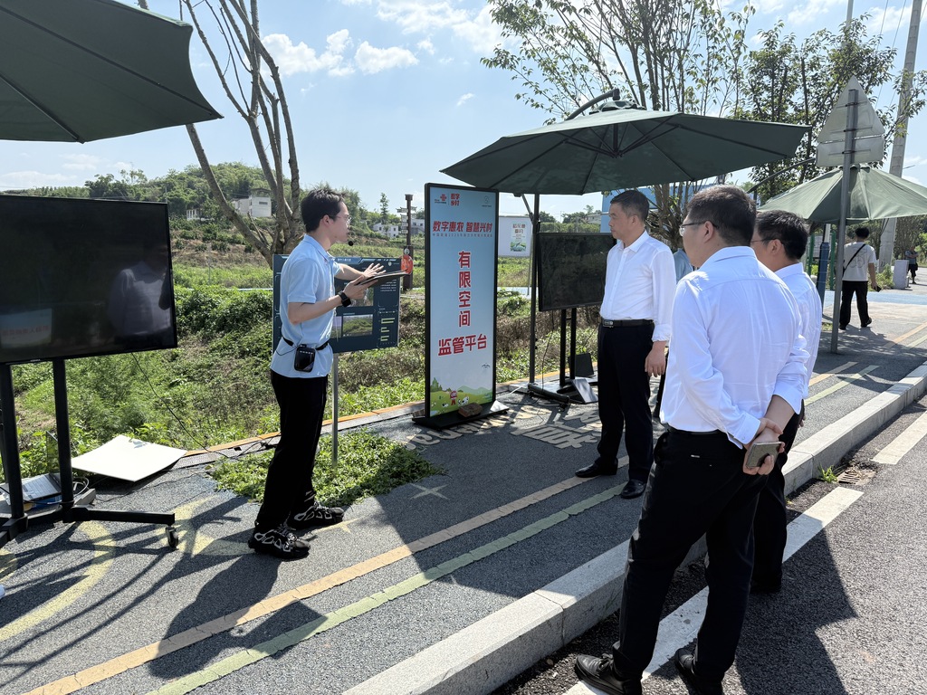重庆市九龙坡区英雄湾村展示现场。 研究院供图