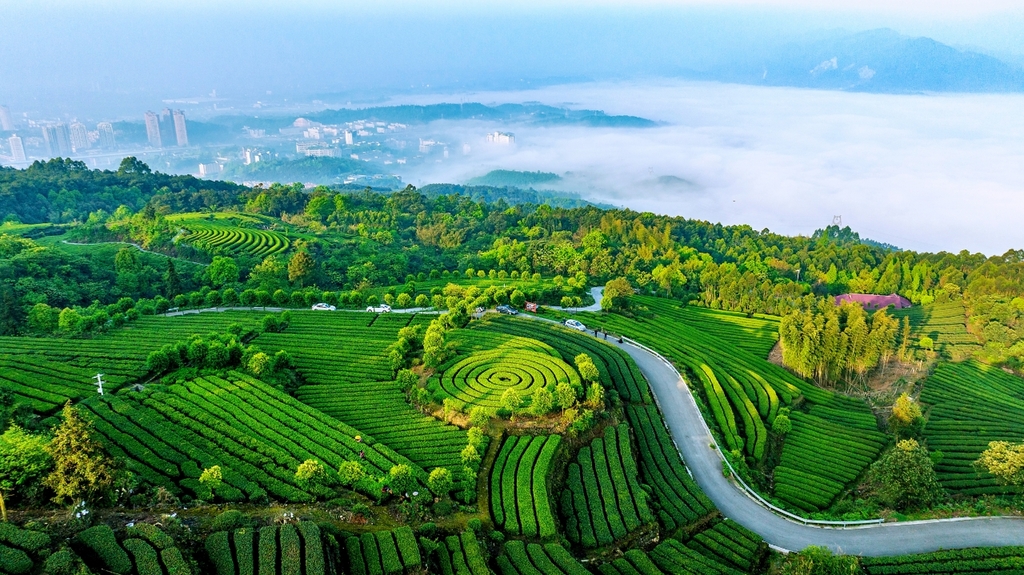 重庆乡村美景。市农业农村委供图
