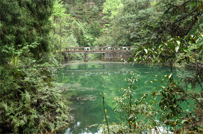 天鵝湖沿岸。永興鎮供圖 第1眼TV-華龍網發