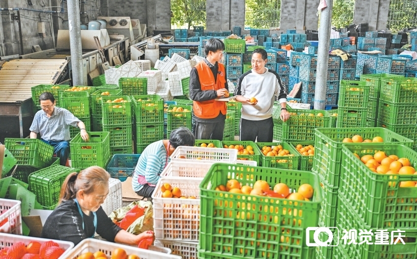 微信截圖_20250507063434