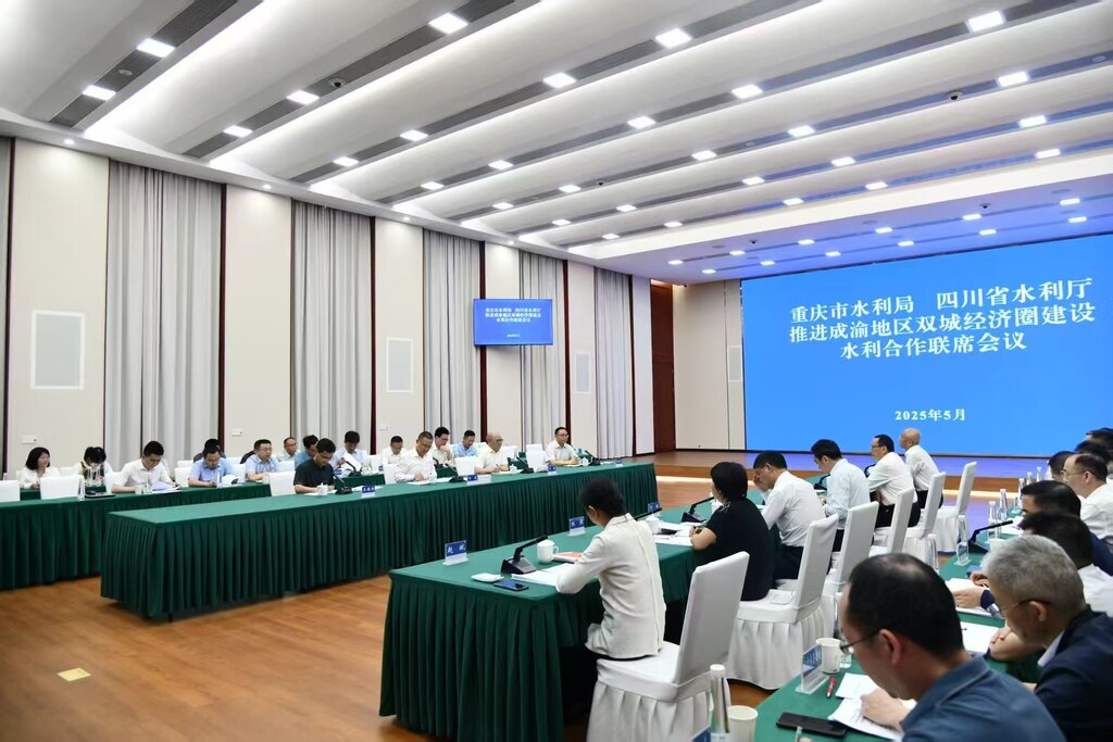 會(huì)議現(xiàn)場。重慶市水利局供圖
