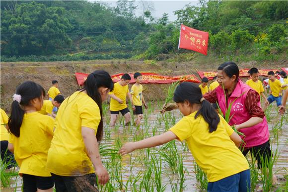 尹道富正在給孩子們講解插秧知識。壁山區(qū)婦聯(lián)供圖