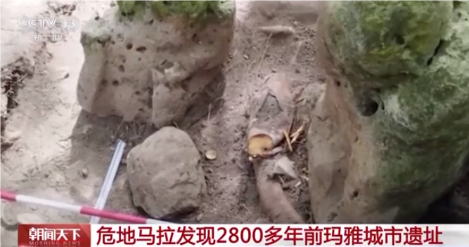 未命名圖片