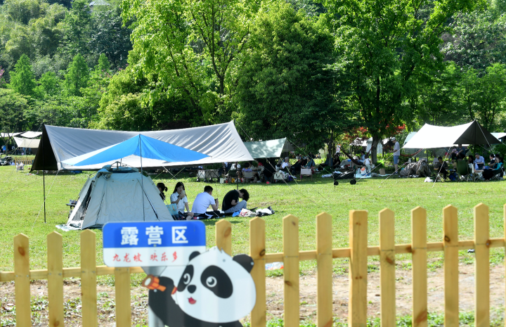 中梁山花博園，草坪露營區吸引市民前來游玩。記者 周邦靜 攝