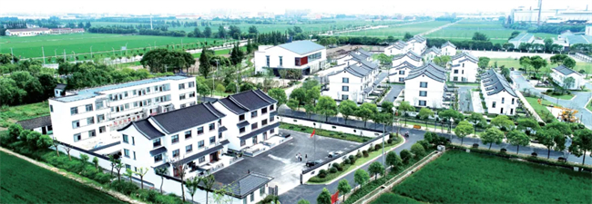 上海市閔行區(qū)馬橋鎮(zhèn)。大渡口區(qū)委宣傳部供圖