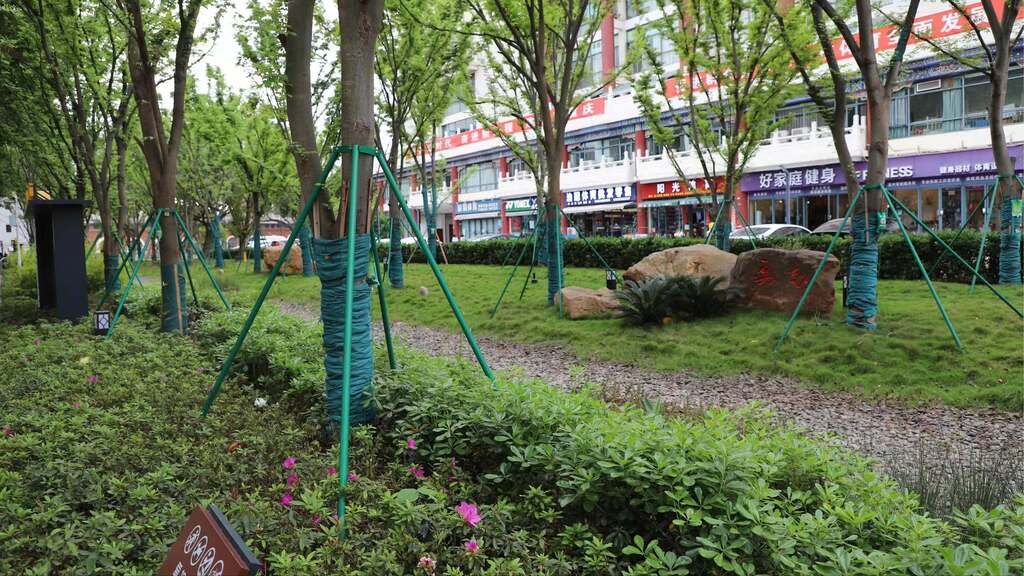 結合植物景觀打造“雨水花園”。受訪者供圖