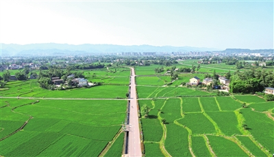 無人機(jī)拍攝的安勝鎮(zhèn)龍印村，綠意盎然的稻田，宛如一幅美麗的畫卷。