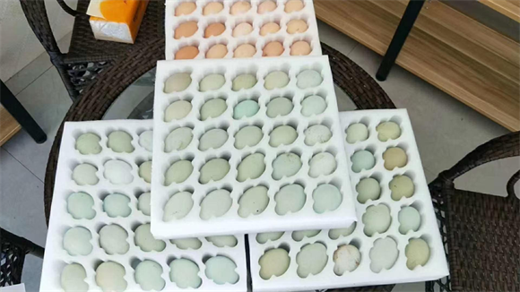 圖片22