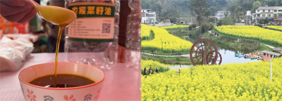 圖片16