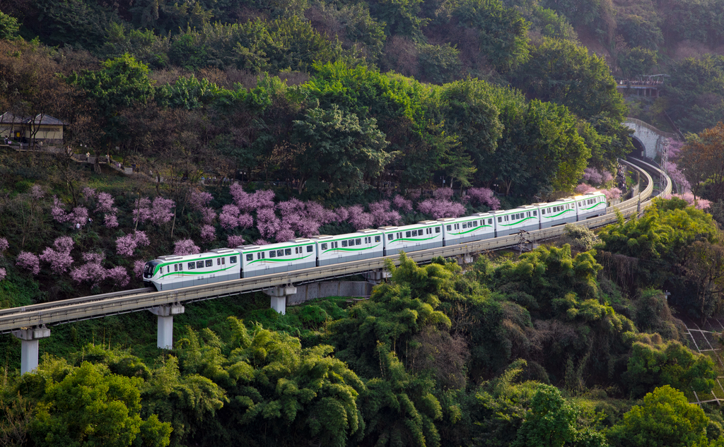 01 開往春天的列車。通訊員 劉曦屹