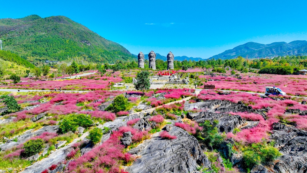 酉阳利用石漠化土地打造的叠石花谷景区。重庆市林业局供图