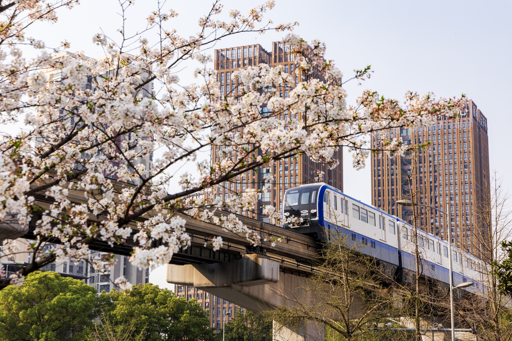 03 3號線列車。通訊員 劉曦屹 攝